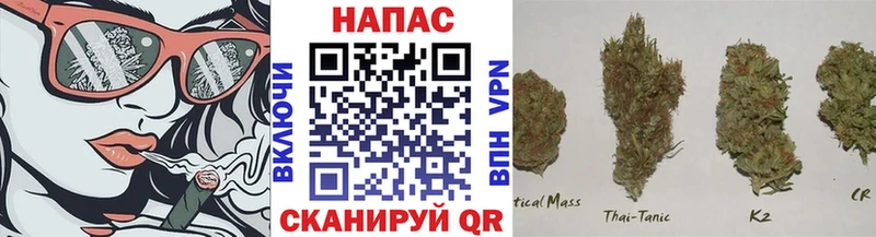 Как найти наркотики Фрязино Кокаин  Псилоцибиновые грибы  А ПВП  Канабис  ГАШИШ  Амфетамин 