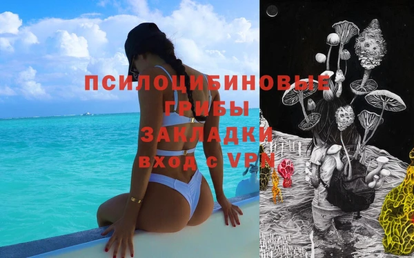мяу мяу мука Краснослободск