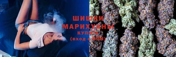 МДПВ Новосибирск