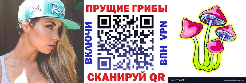 Галлюциногенные грибы мицелий  Фрязино 
